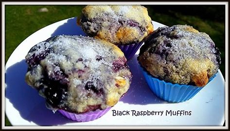 Black Raspberries remind me of growing up and spending so much time with Gram... picking the berries, then she'd bake pies. I just happened to have a bag in my freezer and thought using them in muffins sounded so good and they were. My family loved them. Great for breakfast, snack time or anytime. Enjoy! Black Raspberry Muffins, Black Raspberry Recipes, Raspberry Muffin Recipes, Blackberry Cobbler Recipe, Black Raspberries, Growing Raspberries, Raspberry Muffins, Blackberry Cobbler, Treat Myself