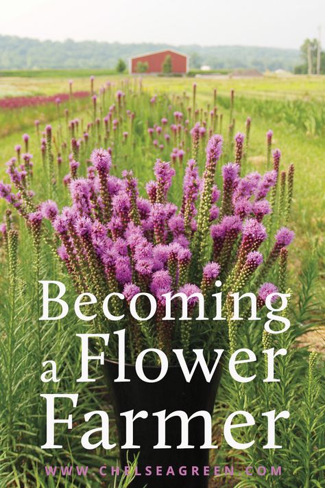 How To Have A Flower Farm, Homestead Flower Garden, How To Become A Flower Farmer, How To Start Flower Garden, Flower Farm For Beginners, Farm Flower Garden, Spring Cut Flowers, Start A Flower Farm, Flower Farming Layout