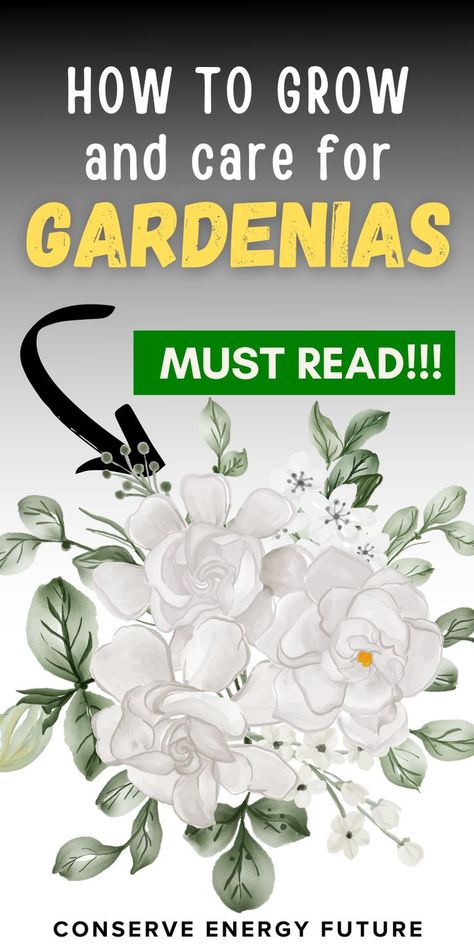 Looking for gardenia care tips? Discover if gardenias like full sun or thrive in shade. Learn about planting gardenias outside, their blooming season, and how they grow in indirect light. Perfect for creating a stunning gardenia garden and ensuring vibrant blooms year-round! / gardenia flower, gardenia garden, do gardenias like full sun, can gardenias be planted outside, when do gardenias bloom do gardenias need full sun/shade can gardenias grow in indirect light, gardenias, gardenia plant / Bush Landscaping, Gardenia Care, Gardenia Trees, Gardenia Garden, Gardenia Bush, Gardenia Flowers, Gardenia Plant, Gardenia Flower, Backyard Layout