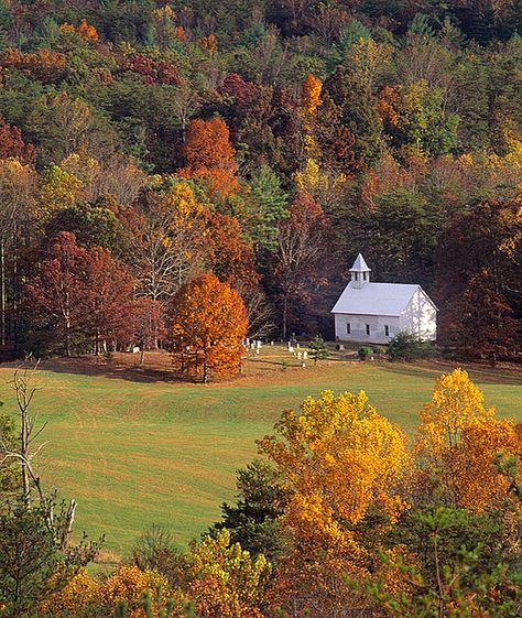 Cades Cove - Great Smoky Mountains Natl Park Cades Cove Tennessee, Farm Scenes, Country Churches, Old Country Churches, Cades Cove, Leaves Autumn, Country Church, Old Churches, Great Smoky Mountains National Park