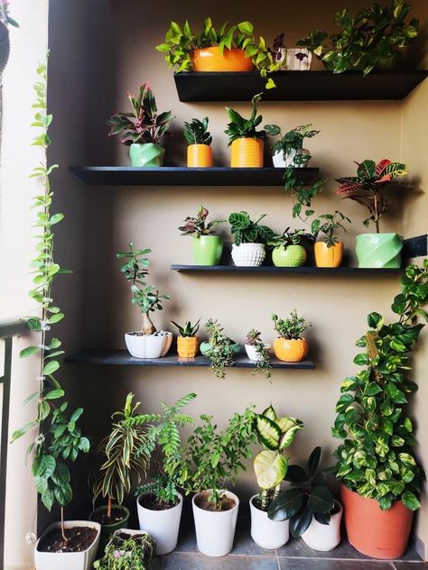 Plant Shelves Outdoor, Balcony Decoration Ideas, Balcony Planters, Balcony Decoration, Porch Plants, Balcony Plants, Plants Decor, Small Balcony Decor, House Plants Decor