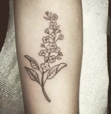 Lilac Drawing Tattoo, Lilac And Lily Of The Valley Tattoo, Lilac Tattoo Outline, Lilac Petal Tattoo, Simple Lilac Tattoo Black And White, Lilac Tattoos, Simple Lilac Tattoo, Lilac Tattoo Black And White, Lilac Flower Tattoo