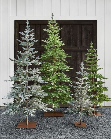 The Alpine Balsam Fir® is a slender, intentionally sparse Christmas tree that beautifully showcases your most cherished bauble sets. 🎀 Balsam Hill Christmas, Narrow Christmas Tree, Balsam Hill Trees, Balsam Fir Christmas Tree, Alpine Christmas Tree, Balsam Fir Tree, Alpine Christmas, Balsam Hill Christmas Tree, Best Artificial Christmas Trees