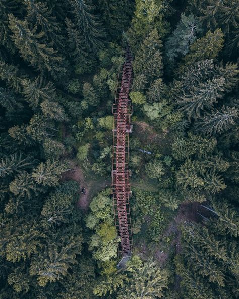 Forest From Above, Maze Drawing, Moody Forest, Forest Map, Forest Drawing, Forest Photos, Forest View, Magic Forest, Stay Wild