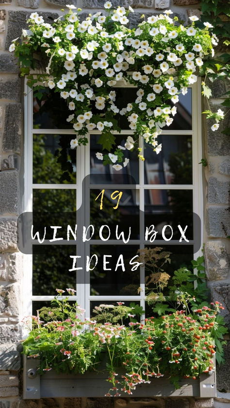 Boost Your Home's Curb Appeal! Click To Explore 19 Stunning Window Box Ideas That Bring Color And Life To Your Windows. 🌺🏡 #CurbAppeal #WindowBoxes #GardenInspiration #ExteriorDesign #PlantLove Evergreen Window Box Ideas, French Window Boxes, Window Landscaping Ideas, Diy Window Planter, Flower Box Window, Diy Window Boxes, Window Boxes Ideas, Utah Garden, Black Window Box