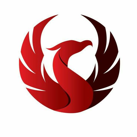 Bird Logo, Red Bird, Phoenix, Logo Design, Red, White, Design