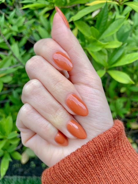 Orange Gel Nails Fall, Burnt Orange Dip Powder Nails, Short Burnt Orange Nails, Dip Powder Nails Orange, Burnt Orange Almond Nails, Orange Dip Powder Nails, Dip Powder Nails Fall 2023, Rusty Orange Nails, Soft Orange Nails