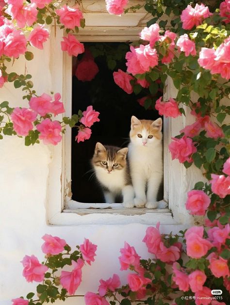 Cute Little Kittens, Cat Flowers, Cute Animals Images, Cat Aesthetic, Cute Animal Photos, Cute Cats And Dogs, Animals Images, Pretty Cats, Beautiful Cats