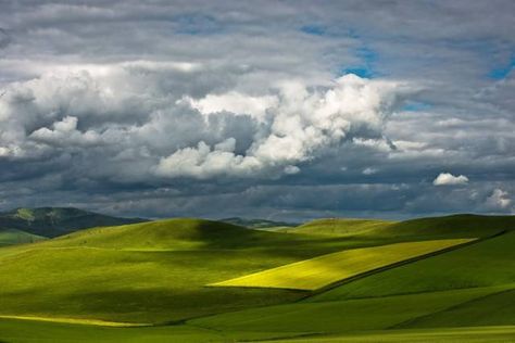 Hulunbuir Grassland, located in northeastern Inner Mongolia, is considered to be the "most unsullied grassland" in China. Named after the Hulun and Buir lakes, the grassland features the beautiful scenery of vast grassland, forests, rivers and lakes, as well as the unique custom of the Mongolian ethnic group.    tags: china travels (www.chinatour.com) Hulunbuir Grassland, Mongolia Grassland, Mongolian Grassland, Inner Mongolia, China Travel, Plant Species, Mongolia, Beautiful Scenery, Pretty Places