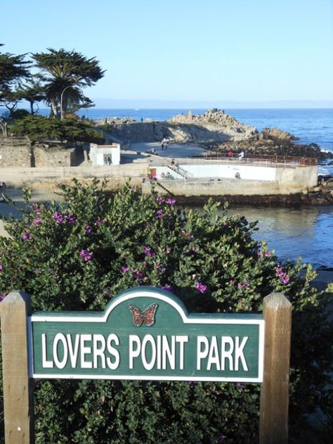 Lovers Point Park in Pacific Grove - When I first moved to the area in 1974, we lived 3 blocks up the hill from here. We rented a 3 bedroom house for $300/month. :) Salt Point State Park California, Cal State Long Beach Aesthetic, Patricks Point California State Parks, Odiorne Point State Park, Birthday Dream, Pacific Grove California, Sand Volleyball, Wading Pool, Volleyball Court