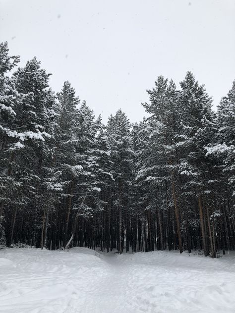 #atmosphere #winter #forest #russia #ukraine #snow Twilight Snow Aesthetic, Russia Snow Aesthetic, Varian Aesthetic, Russia Forest, Winter Court, Red Snow, Winter Songs, Twilight Pictures, Snow Girl