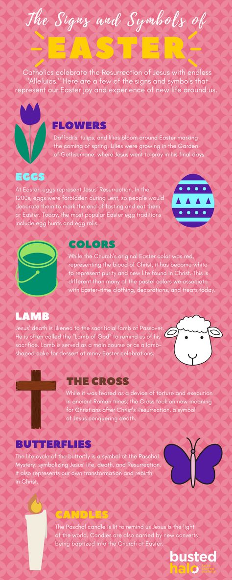 Here are a few of the signs and symbols that represent Jesus' Resurrection, our Easter joy, and the experience of new life around us. Easter Symbols And Meanings, Easter Symbols For Kids, Meaning Of Easter For Kids, Easter Symbols Christian, Celebrate Easter Jesus, True Meaning Of Easter Activities, Easter Meaning, Resurrection Eggs Story, Easter History