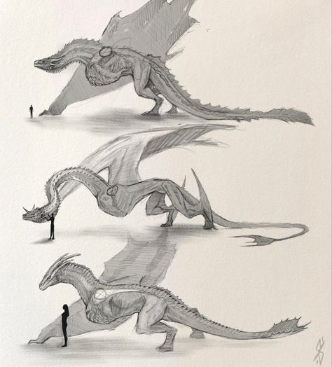 Dragon Poses, Dragon Anatomy, Game Of Thrones Dragons, Got Dragons, Dragon Artwork Fantasy, Targaryen Art, Asoiaf Art, Dragon Sketch, Creation Art