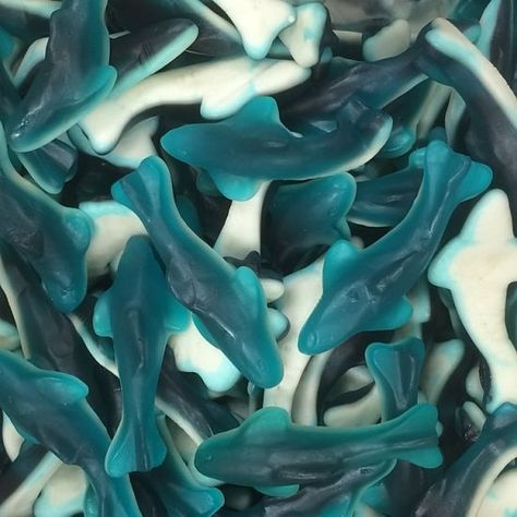 Shark Gummies Aesthetic, Blue Gummies, Shark Gummies, Sea Puppies, Gummy Art, Gummy Shark, Shark Food, Gummy Sharks, Shark Snacks