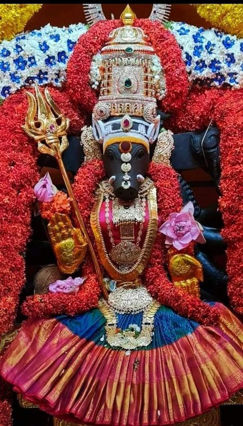 Varahi Ammavaru Images, Varaha Swamy Hd Images, Varahi Ammavaru Hd Images, Varaha Lakshmi Narasimha Swamy, Varahi Devi Hd Images, Varahi Devi Images, Ammavaru Images Hd, வாராகி அம்மன், Varahi Amman Images Hd