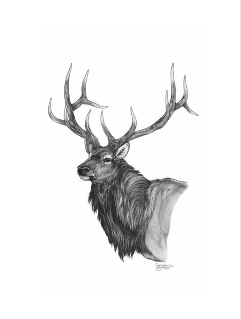 Elk Art Drawing, Gothic Sketchbook, Jt Tattoo, Elk Drawing, Bro Tattoos, Sketch For Tattoo, Sketchbook Goals, Elk Tattoo, Fairy Picnic