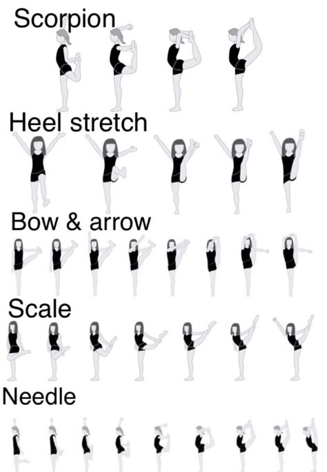 Stretches Cheer Stretches, Cheerleading Tips, Cheerleading Workouts, Gymnastics Moves, Dance Stretches, Gymnastics Stretches, Cheer Workouts, Gymnastics Skills, Ballet Exercises