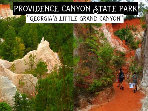 Providence Canyon State Park | Georgia's Little Grand Canyon | Travel Tips | Georgia Hiking | Adventures Are Out There | NewsBreak Original Providence Canyon State Park, Georgia Hiking, Providence Canyon, Nature God, Hiking In Georgia, Georgia State Parks, Trip To Grand Canyon, Hiking Adventures, Family Of 4