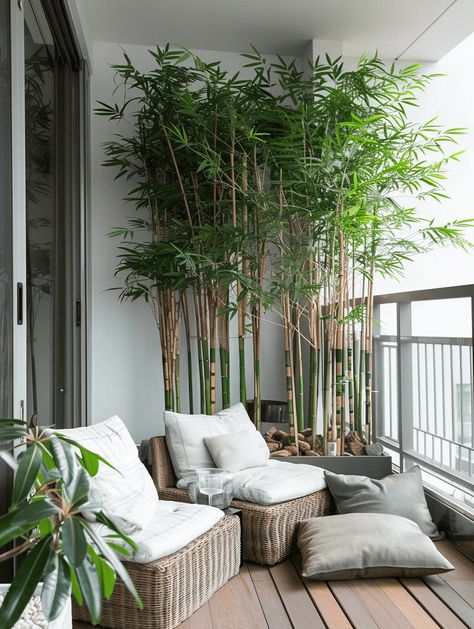 Zen Balcony Ideas, Bamboo Balcony, Bamboo For Privacy, Tiny Balcony Ideas, Apartment Balcony Privacy Ideas, Balcony Privacy Ideas, Potted Bamboo, Outdoor Balcony Ideas, Boho Balcony