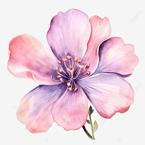 watercolor flower isolated flower watercolor floral png Watercolor Flowers Png, Design Hijab, Flower Png Images, Transparent Watercolor, Flowers Card, Patterns Simple, Floral Png, Water Effect, Watercolor Png