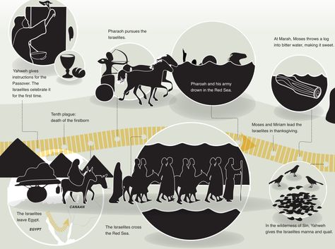 Life of Moses Infographic | Exod 12 - 16 #exodus Bible Study Exodus, Life Of Moses, Quick View Bible, Ten Plagues, Bible Study For Kids, Sunday School Activities, Ministry Ideas, Christian Bible Study, Bible Time