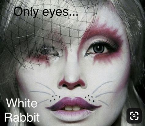 White Rabbit Makeup, Shrek Costumes, Rabbit Makeup, Halloween Bites, Alice In Wonderland Makeup, Wonderland Makeup, Bunny Makeup, White Rabbit Alice In Wonderland, Rabbit Halloween