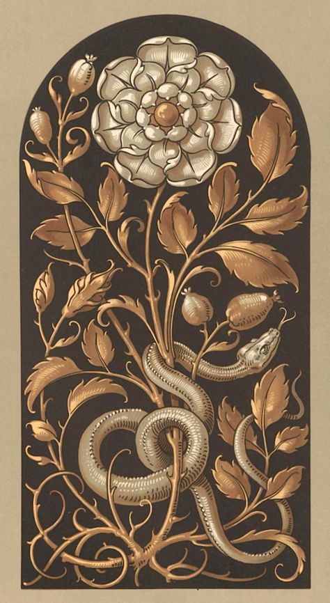 A visual collection of fine art, scientific illustration, and other curious images. Often esoteric, mostly public domain. Anton Seder Art, Anton Seder, Fiori Art Deco, Fleurs Art Nouveau, Art Nouveau Illustration, Esoteric Art, Jaisalmer, Desenho Tattoo, Art Nouveau Design