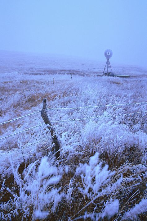 Nebraska Aesthetic, Nebraska Winter, Nebraska Scenery, Favorite Novels, 50 States, Heartland, White Painting, Nebraska, Painting Inspiration