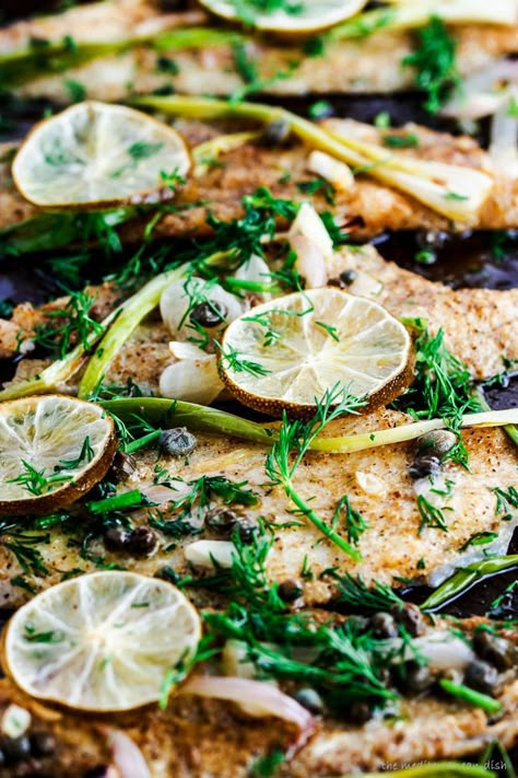 baked sole fillet recipe Sole Fillet Recipes, Baked Sole, Sole Recipes, Seafood Meals, Fish Recipes Baked, The Mediterranean Dish, Fish Recipes Healthy, Lime Sauce, Healthy Fish