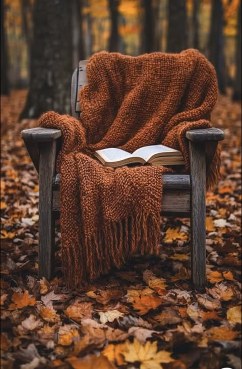 Book And Coffee Wallpaper, Fall Good Morning, Autumn Academia, Internal Peace, Forest Walks, Book And Coffee, Seasons Of Love, Autumn Photos, Reading Rooms