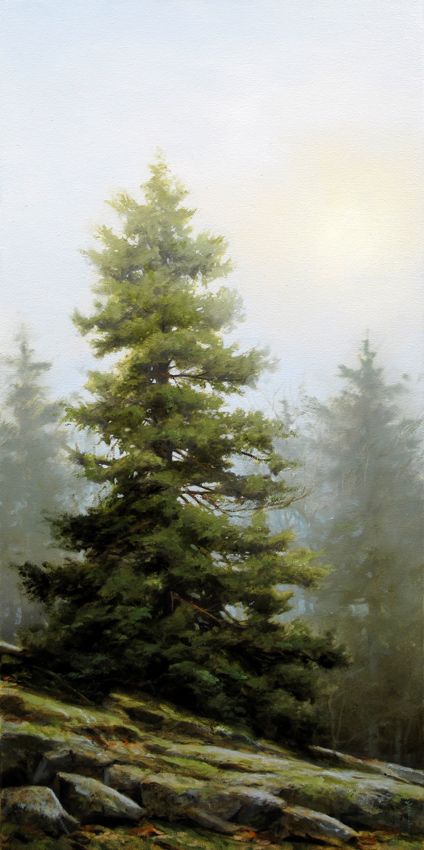 Renato Muccillo, Tableau Art, Watercolor Trees, Malbec, Pics Art, Art Tutorial, Tree Painting, Pine Tree, Tree Art