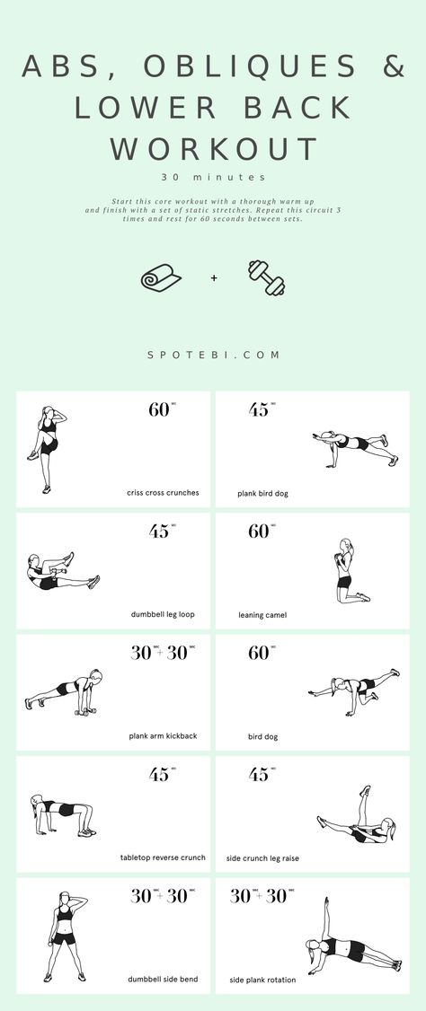 https://www.spotebi.com/wp-content/uploads/2021/07/core-strengthening-exercises-abs-obliques-lower-back-spotebi.gif Back And Abs Workout, Core Workout Routine, Back Strengthening, 30 Min Workout, Oblique Workout, Core Strengthening Exercises, Back Workouts, Core Strengthening, Strengthen Core