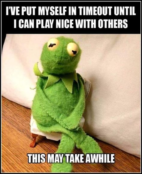 Funny Kermit Memes, Kermit Funny, Funny Cartoon Quotes, Cartoon Quotes, Sarcastic Quotes Funny, Minions Funny, Twisted Humor, E Card, Work Humor