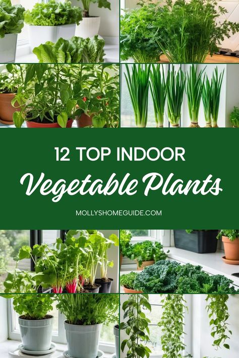 Looking to add some greenery indoors? Discover the best indoor vegetable plants you can easily grow inside. From strawberries to herbs, learn how to grow vegetables indoors and harvest fresh produce all year round. Get started with the easiest vegetables to grow indoors and even regrow from kitchen scraps. Consider growing vegetables in buckets or creating a year-round indoor garden with the best vegetables for your space. Enjoy the convenience of having your own indoor vegetable garden right at Easiest Herbs To Grow Indoors, How To Grow Spinach Indoors, Indoor Garden Setup, Grow Spinach Indoors, Indoor Salad Garden, Vegetables In Buckets, Vegetables To Grow Indoors, Indoor Kitchen Garden, Grow Vegetables Indoors