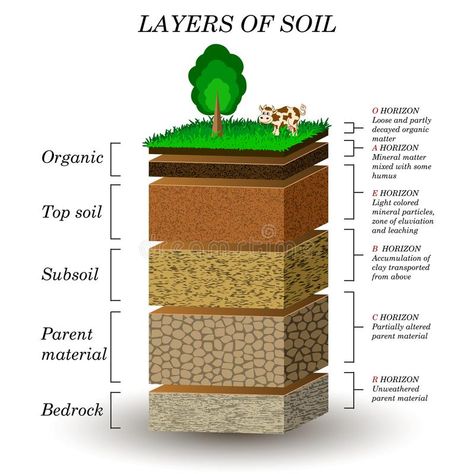 Layers of soil, education diagram. Mineral particles, sand, humus and stones. Na , #affiliate, #particles, #Mineral, #humus, #sand, #soil #ad Soil Worksheet, Layers Of Soil, Earth Texture, Compost Soil, Agriculture Education, Natural Fertilizer, Soil Layers, Soil Health, Top Soil