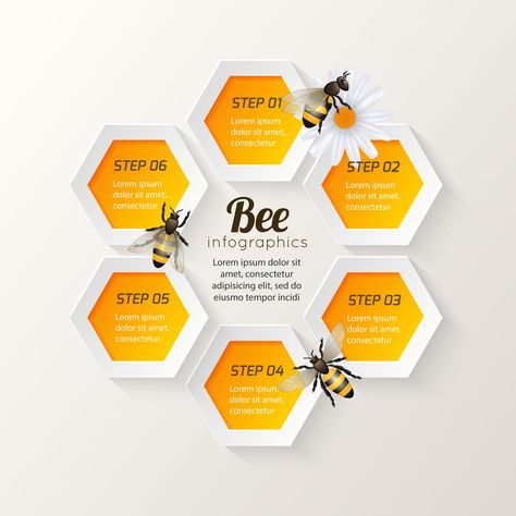 Bee infographics steps Honey Bee Facts, Honeycomb Background, Logo Bee, Honey Brand, Banner Printing, Bee Keeping, Vector Photo, Infographic Design, Honey Bee