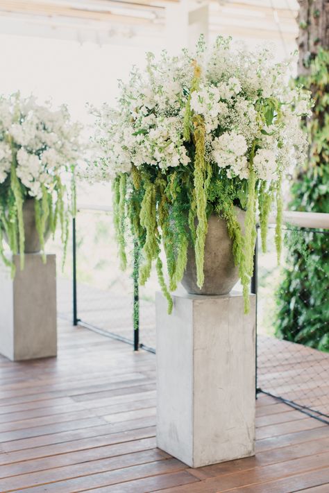 Amaranthus and White Delphinium Ceremony Accent Wedding Ceremony Flowers Altar, White Delphinium, Large Floral Arrangements, Church Flowers, Wedding Ceremony Flowers, Fresh Flowers Arrangements, Ceremony Flowers, Wedding Arrangements, Wedding Aisle