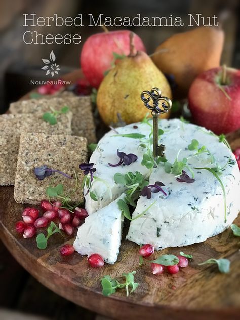 Macadamia Nut Cheese, Raw Vegan Cheese, Best Probiotic Foods, Cheese And Charcuterie Board, Raw Kitchen, Grain Free Vegan, Nut Cheese, Interesting Websites, How To Cook Ribs