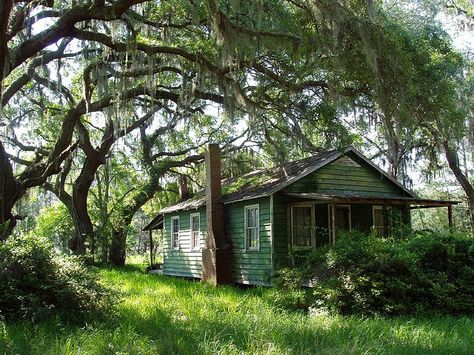 Sapelo Island Sapelo Island Georgia, Sapelo Island, Coastal Georgia, Jennifer Niven, Georgia Travel, Southern Gothic, Home Board, Savannah Ga, Low Country