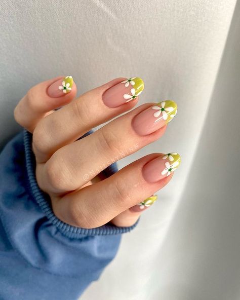 All Posts • Instagram Early Fall Nail Colors, Simple Spring Nails, French Tip Nail Designs, Cute Spring Nails, Spring Nail Designs, Daisy Nails, Round Nails, Spring Nail Art, Manicures Designs