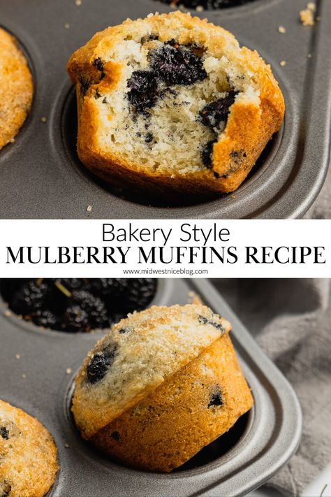 Use fresh or frozen mulberries in this simple mulberry muffin recipe that bakes up tall, sweet & is studded with tender mulberries. Mulberry Recipes Muffins, Mulberry Muffins Recipe, Mulberry Muffins, Mulberry Benefits, Confit Potatoes, Mulberry Recipes, Shop Around The Corner, Bread Biscuits, Lamb Cake