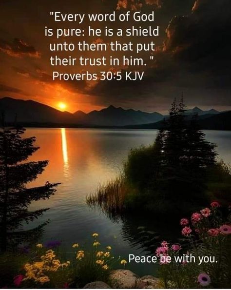 Proverbs 30:5 Kjv, Proverbs Kjv, Proverbs 17 9, Life Verses, Christian Bible Verses, Faith Inspiration, Favorite Bible Verses, Inspirational Bible Verses, Christian Bible