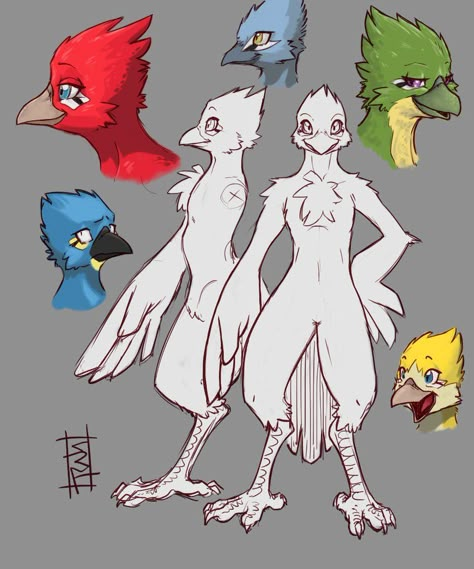 Bird Person Character Design Female, Bird Fursona Art, Bird Fursona Base, Bird Talons Drawing, Avian Fursona, Bird Fursona, Bird Anthro, Bird Character Design, Anthro Bird