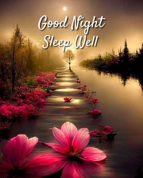 Good Morning Meaningful Quotes, Night Stickers, Good Day Images, Goodnight Messages, Good Night Sleep Well, Good Night Love Pictures, Goodnight Quotes Inspirational, New Good Night Images, Night Greetings