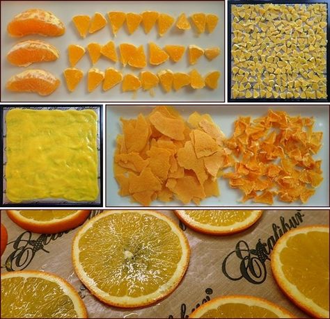 Dehydrating Oranges: Sliced, Sectioned, Blended, Powdered, and Candied. Backpacking Food Recipes, Dehydrate Orange Slices, Dehydrating Oranges, Fruit Leather Recipe Dehydrator, Fruit Leather Dehydrator, Dehydrator Recipes Fruit, Candied Orange Peels, Best Food Dehydrator, Dehydrating Food Storage