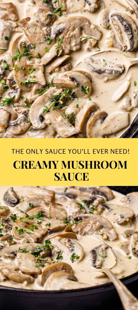 Creamy Mushroom Sauce Recipe, Mushroom Sauce For Chicken, Dinner Crepes, Delicious Sauces, Mushroom Sauce Recipe, Chicory Recipe, Fantastic Recipes, Pasta Chicken, Scratch Recipes