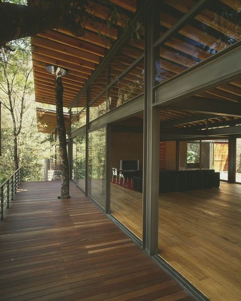 AT House / Gomez Crespo Arquitectos | ArchDaily Living In Mexico City, Steel Building Homes, Steel Frame House, Metal House, Tropical House, Steel House, Salou, Steel Buildings, Tropical Houses