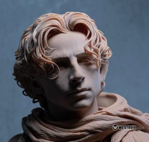 Paul Atreides, Sculpture Head, Human Sculpture, Perspective Drawing Lessons, Sculpture Art Clay, 3d Figures, Low Poly Art, Polymer Clay Dolls, Pottery Sculpture