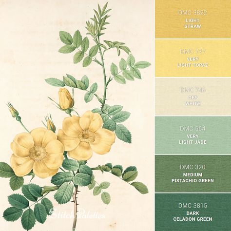 Rosa Eglanteria - Embroidery Color Palette (With Thread Codes) Embroidery Color Palette, Hex Color Palette, Color Palette Yellow, Color Schemes Colour Palettes, Theme Color, Thread Colors, Color Palette Design, Color Inspo, Aesthetic Colors