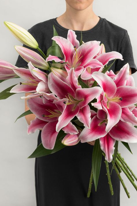 Lily And Tulip Bouquet, Pink Lilies Bouquet, Pink Lily Bouquet, Stargazer Lily Bouquet, Tiger Lily Bouquet, Minimalist Things, Stargazer Lilly, Lilies Bouquet, Luxury Bouquet